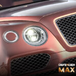 GSWF DEFENDER Max