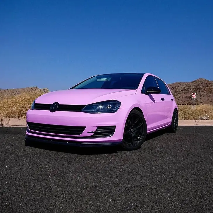 GSWF Bright Bubblegum Gloss PPF