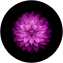 Andrey I. profile picture